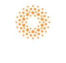 Cetonta Holdings Ltd, Centota Holding LTD