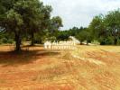 Land for sale in Almancil,  Algarve