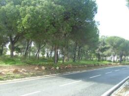 Photo of Vilamoura,  Algarve