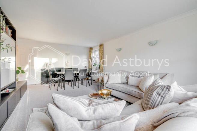 20251117-DSC09725...