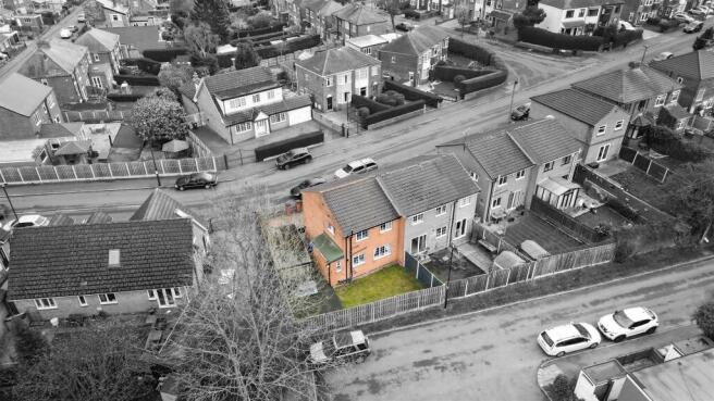 DJI_0137_1-1.jpg