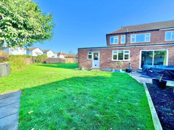 IMG-20251120-WA00...