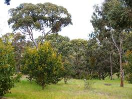 Photo of Lot 44 Norman Drive, CLARE 5453