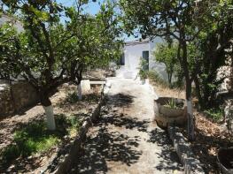 Photo of Tsivaras, Chania, Crete