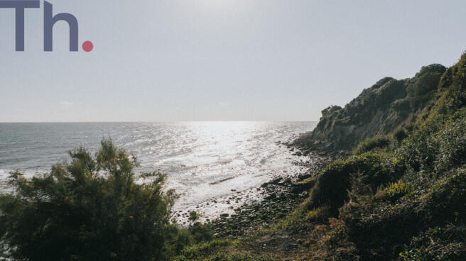 DJI_20241004160830_0384_D