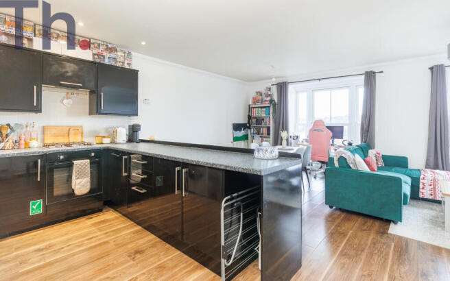 Kitchen /Lounge /Dining