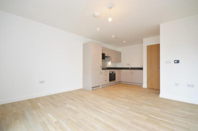 Kitchen/Living Room