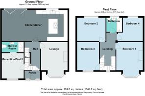 398 Chester Road.jpg