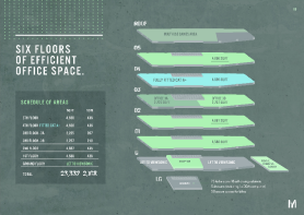 Floor/Site plan 1