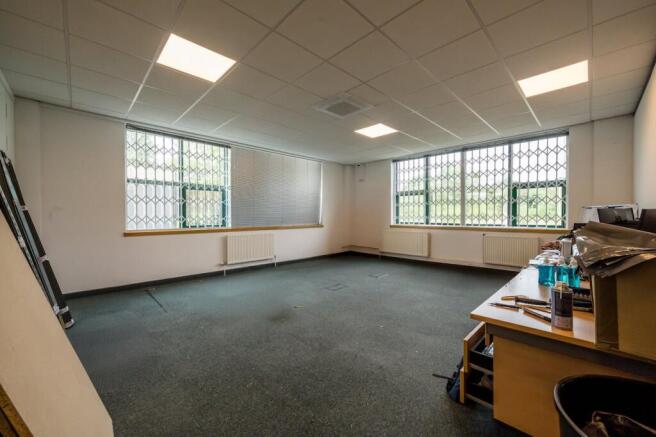 Copy of DSC_3449.jpg