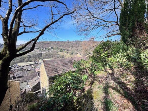 Views from the garden