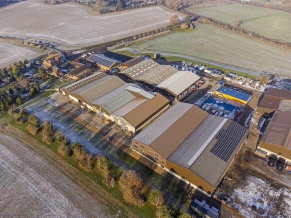 thumbnail_Squab_Leam_December 16 2022_492HDR.jpg