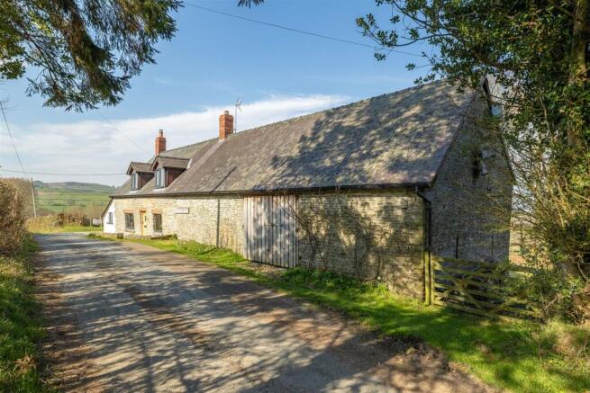 1015LowerLaneFarm-23.jpeg