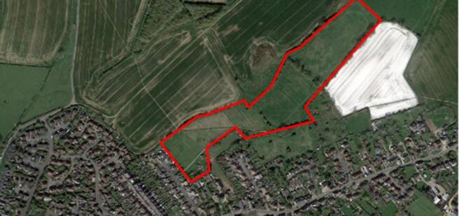 berryfield outline.PNG