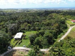 Photo of Lion Castle, St Thomas