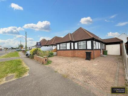 Bruce Grove, Wickford