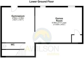Lower Ground Floor