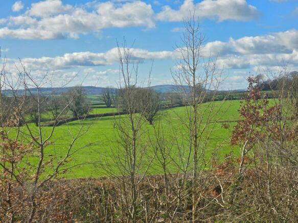 Bedroom Window View