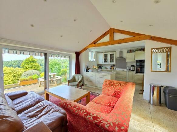 Kitchen-Living Area