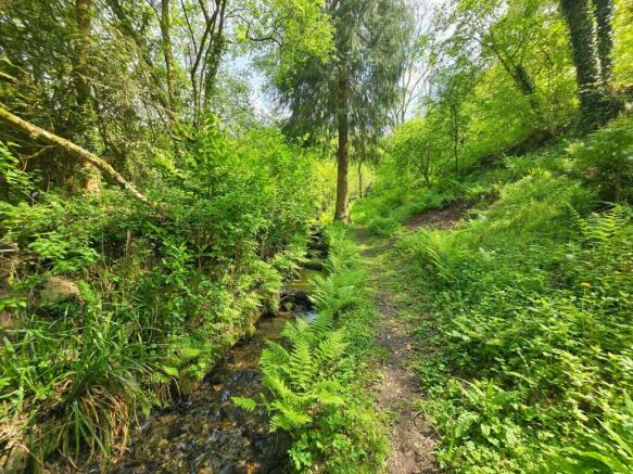 Woodland Streamside Walk