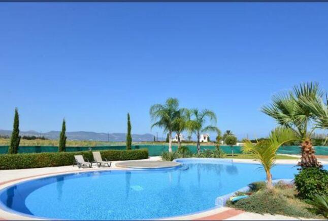 Swimming pool view