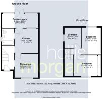 Hollis Morgan Auctions