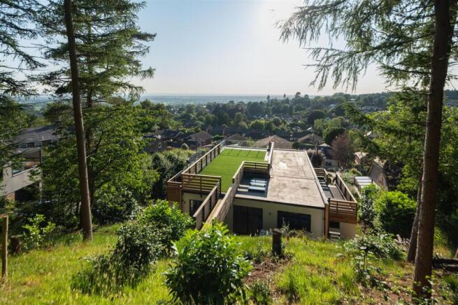 Larch Hill-2-016.JPG