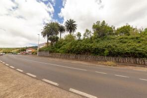 Photo of Canary Islands, Tenerife, Tacoronte