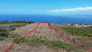 Photo of Canary Islands, Tenerife, Tacoronte