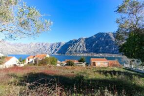 Photo of Kotor