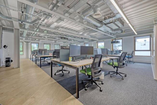 IMG_8396_13 copy.jpg