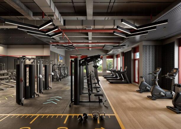 Gym.jpg