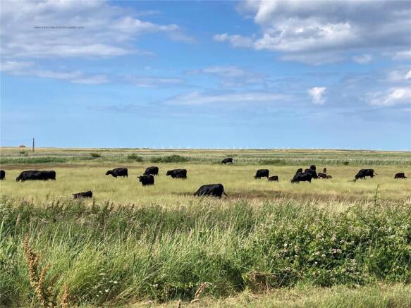 Cley Marshes Summer