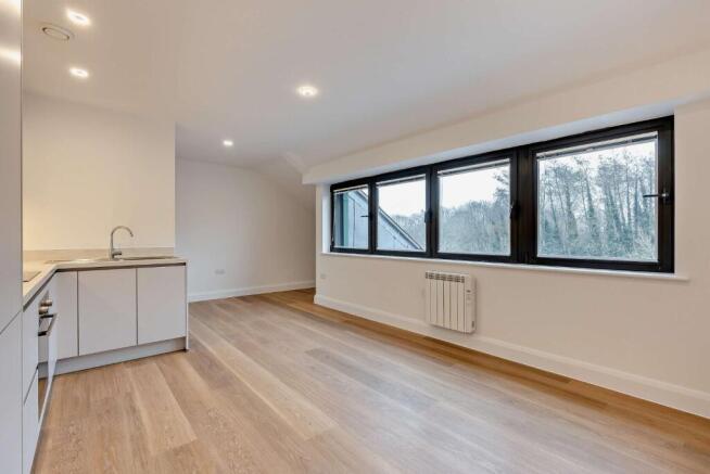 Living/Kitchen 2
