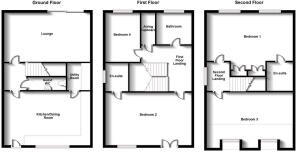 Copper Beech Mew, RugbyFPLAN.JPG