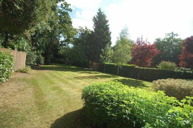 Communal Garden