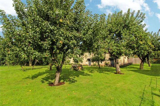 Communal Orchards