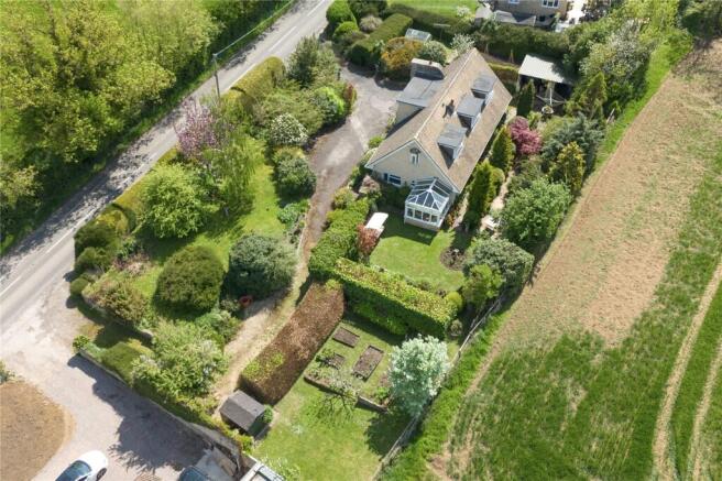 Plot View