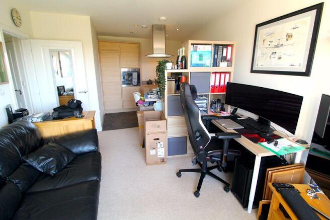 Living Room/Kitchen Area