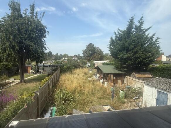 image7 (1)