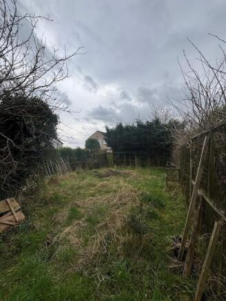 garden.jpg