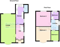 floorplan 12 doctors fields.png