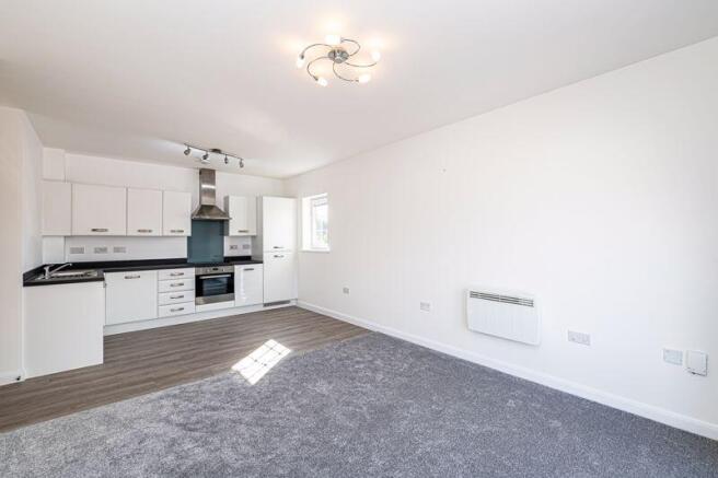 Lounge / Dining / Kitchen