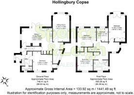 Hollingbury Copse