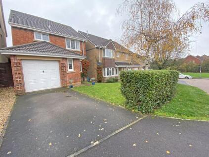 Rope Walk, Wellington