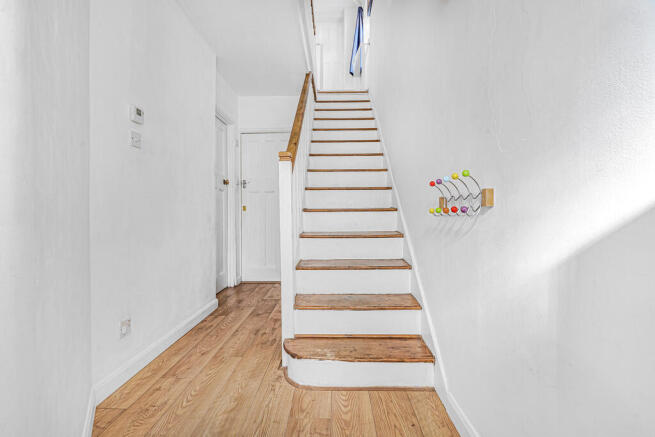 Chiton Avenue (24...