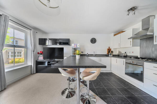 Kitchen/Living Room