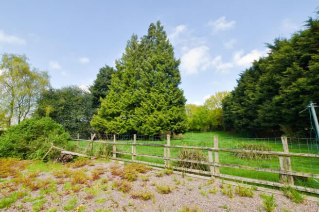 Rear Paddock