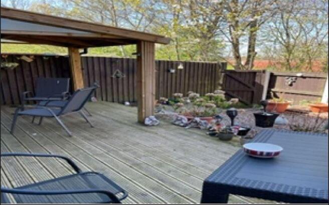 Back garden