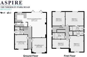 Screenshot 2025-04-07 101953 copy.jpg